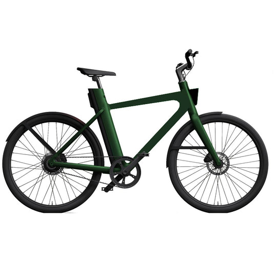 All Green Aluminum Alloy 750w E-bike